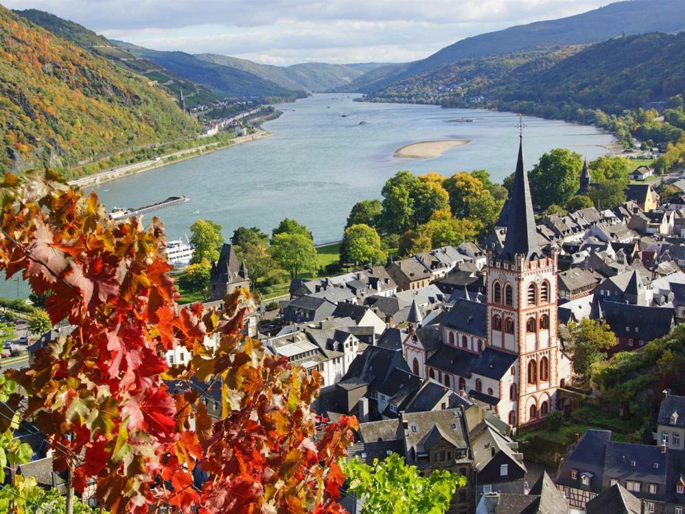 Ferienwohnung "Gecko" Andernach Exterior foto